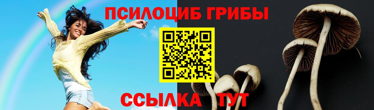 Галлюциногенные грибы MAGIC MUSHROOMS  Вход с VPN  Саратов 